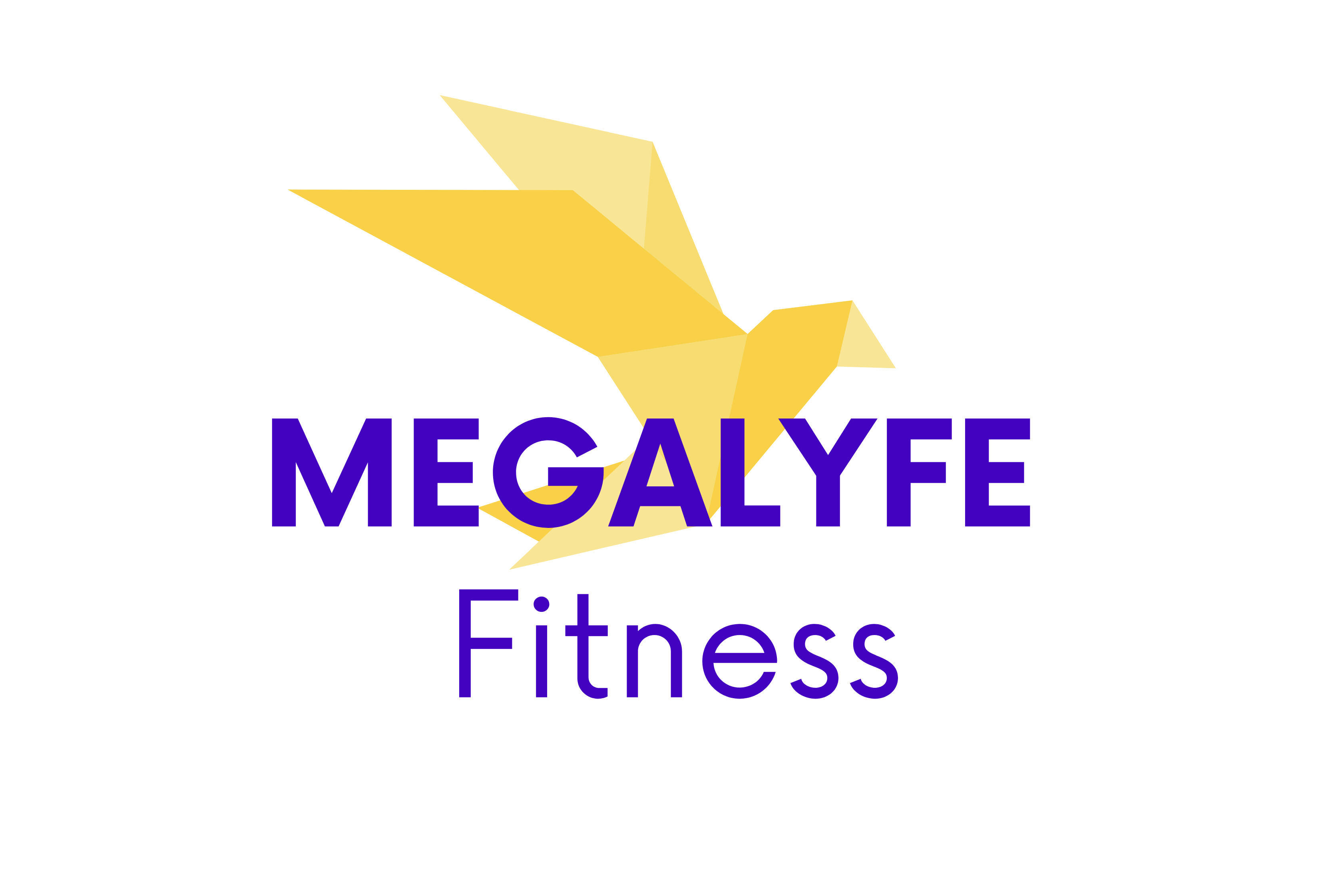 Megalyfe Fitness
